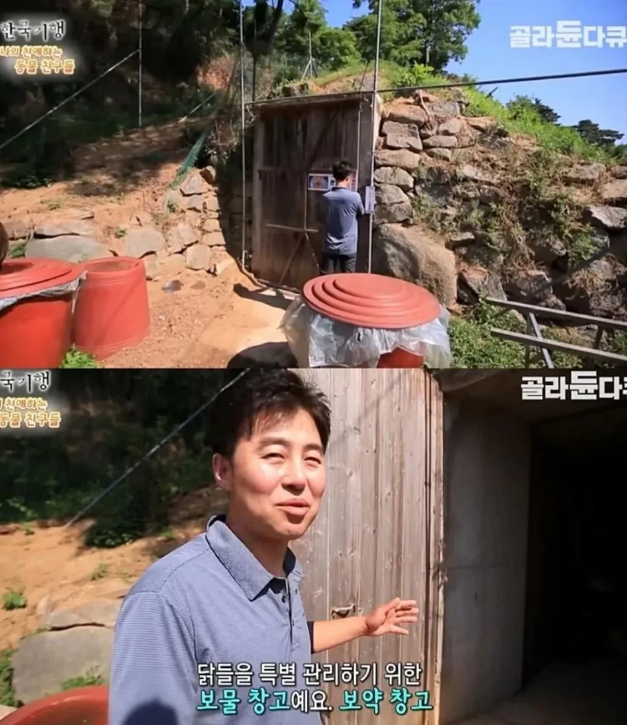 백숙집 차리려고 닭 키우기 시작한 부부의 최후_9.webp