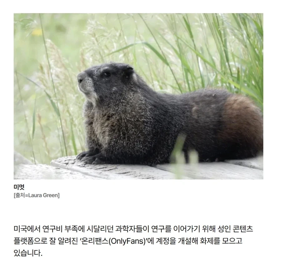 공포영화 보러갔다가 좀 실망했던 영화 이미지 2