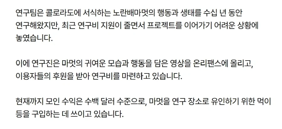 연구비가 부족해서 온리팬스를 한 연구자들_2.webp