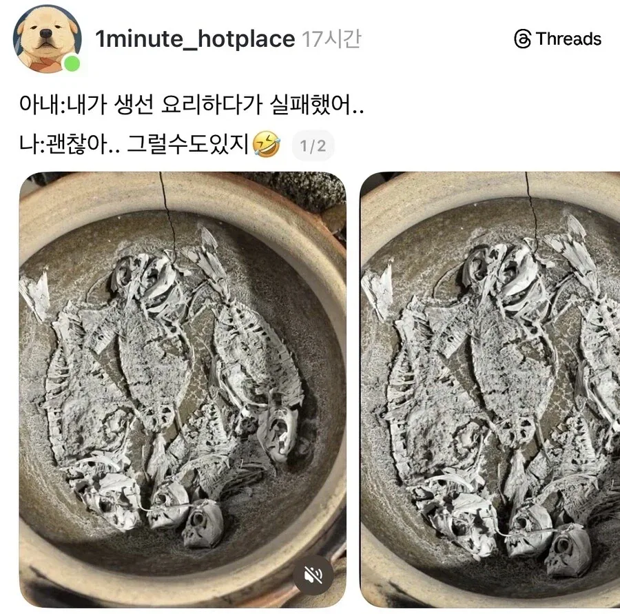 우연히 마주친 드래곤 이미지 3