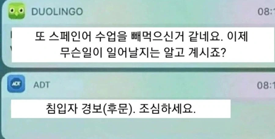 우연히 마주친 드래곤 이미지 2