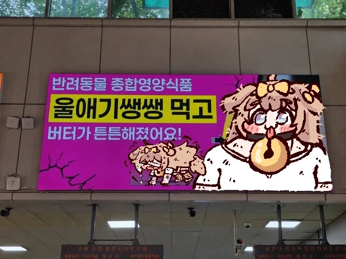 사람들이 큰환상을 품는 우크라이나 흑토지대의 절대적인 한계 이미지 8