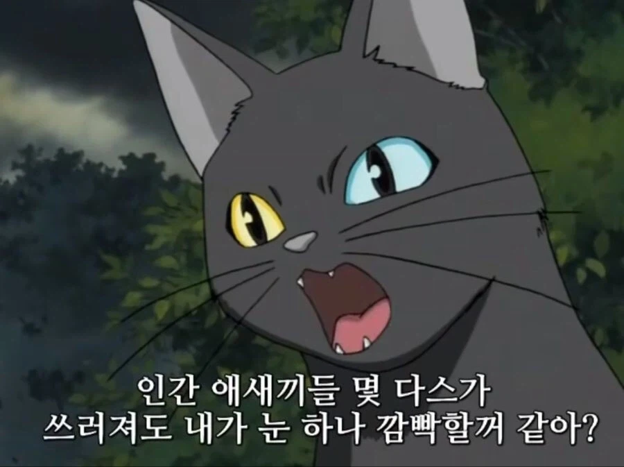 북미판 학교괴담 더빙 특징_26.webp