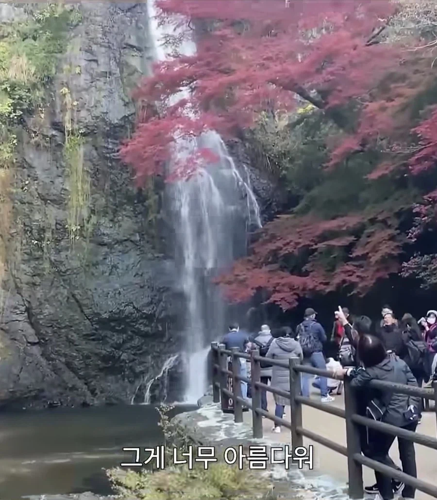 일본에 있는 이색튀김_7.webp
