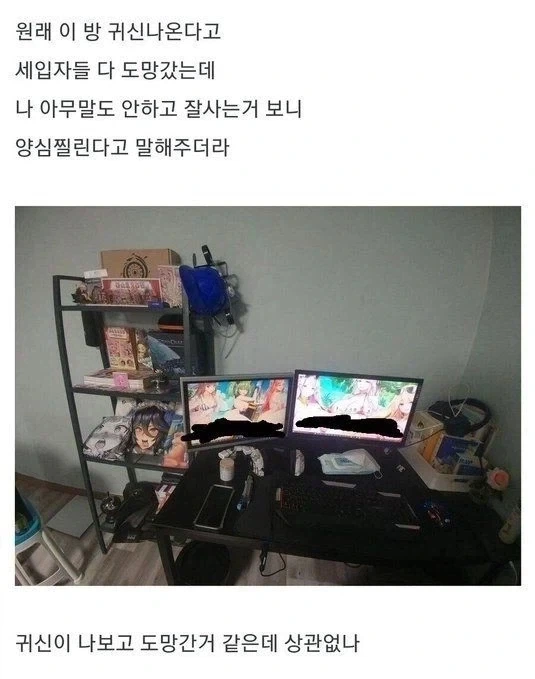 군대 간 오빠 기다리는 멍뭉이.jpg 이미지 5