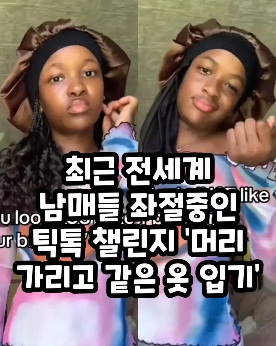 군대 간 오빠 기다리는 멍뭉이.jpg 대표 이미지