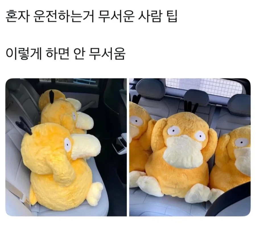 페이트 스테이 나이트 최악의 조합 대표 이미지