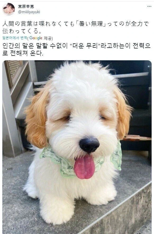 죠죠 스탠드 중 사기성으로는 탑클래스였던 능력 대표 이미지