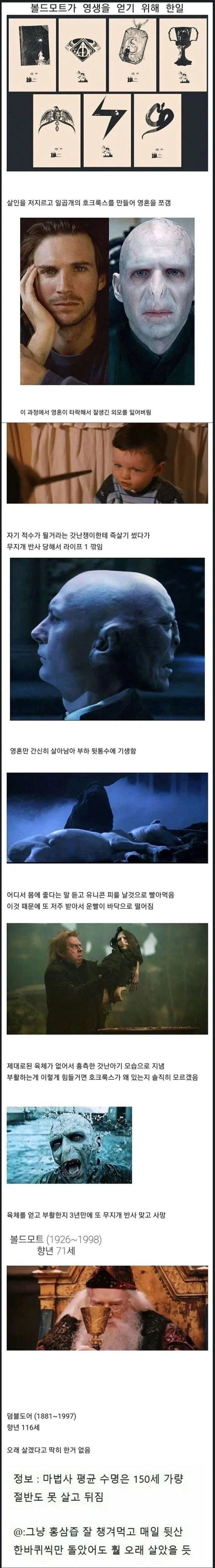 이것은 세계평화를 위한것 ft.럼프 이미지 4
