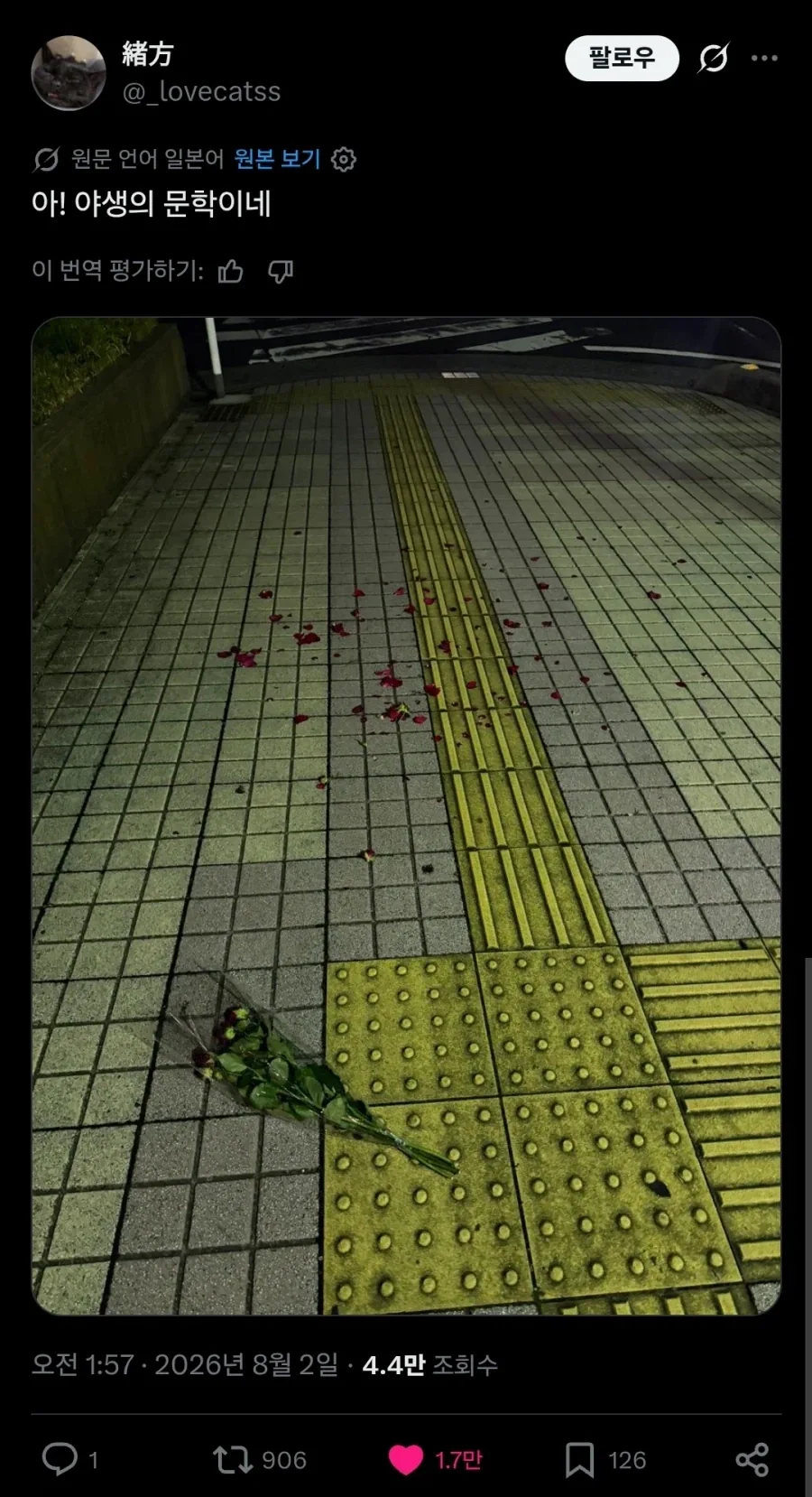 상식적으로 2d에서 꼴리지 않으면 그게 여캐냐? 대표 이미지