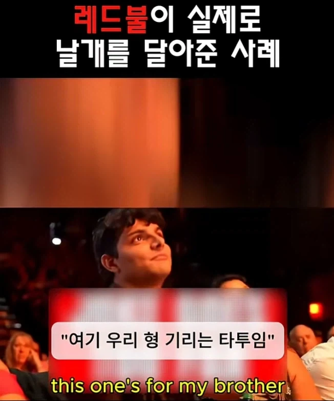 레드불이 날개를 달아준사례 ㅋㅋㅋ_2.webp