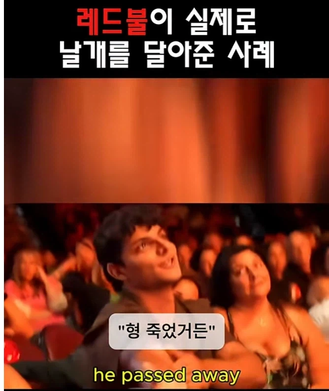레드불이 날개를 달아준사례 ㅋㅋㅋ_3.webp