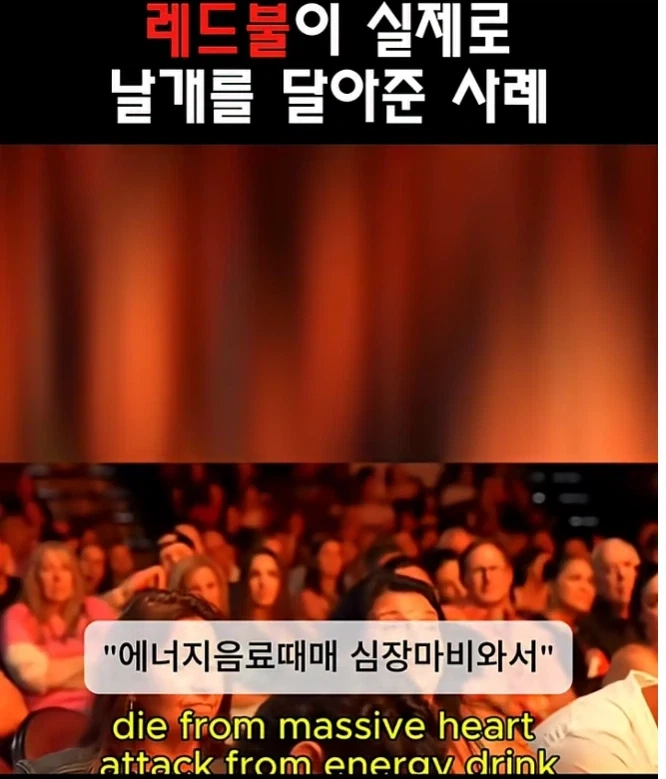 레드불이 날개를 달아준사례 ㅋㅋㅋ_7.webp