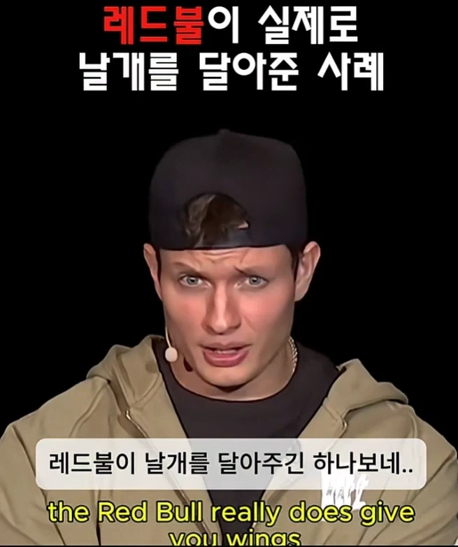 레드불이 날개를 달아준사례 ㅋㅋㅋ_10.webp