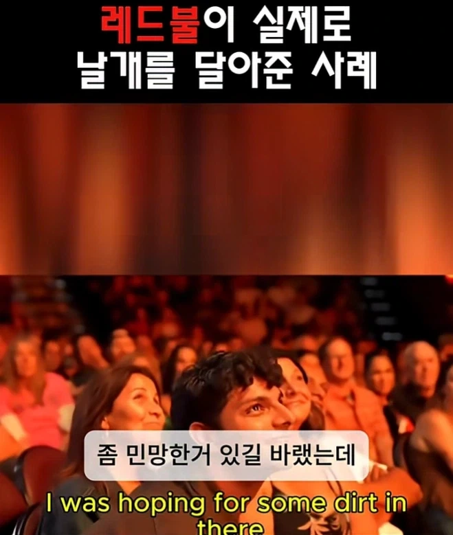 레드불이 날개를 달아준사례 ㅋㅋㅋ_18.webp