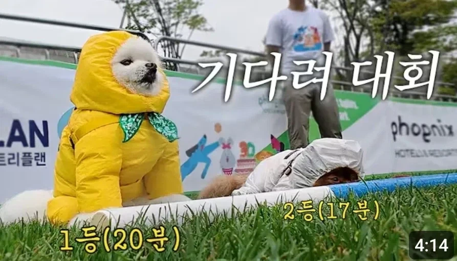 건물주가 자기 아들 가게연다고 식당 폐업시킴 대표 이미지