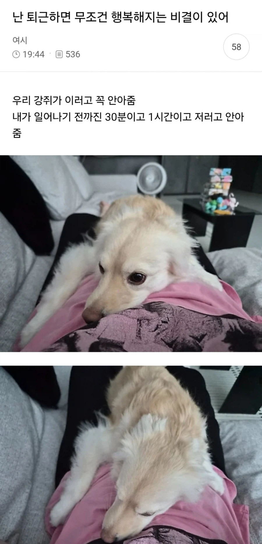 랜덤 동물짤.jpg_3.webp