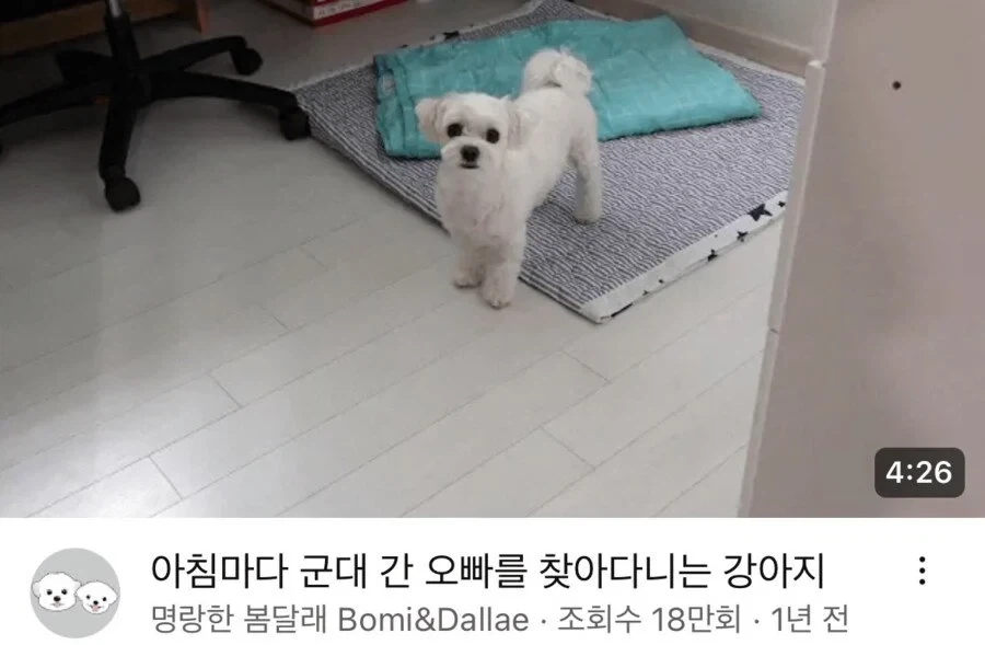 코난 살인사유 레전드 대표 이미지