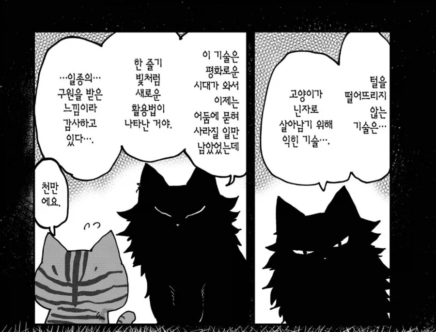 고양이 라멘 가게에서 털이 안 나오는 비법.jpg_10.webp