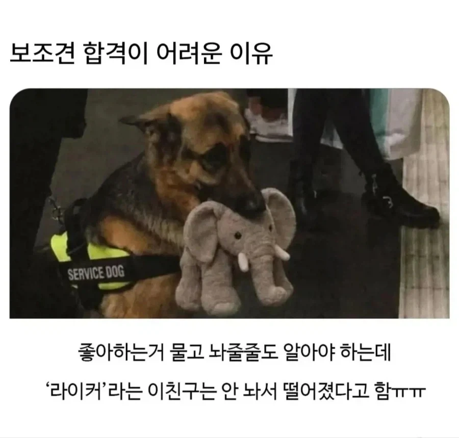 페이트) "아르토리아, 리처드! 극소 특이점이 발견됐어!" 이미지 2