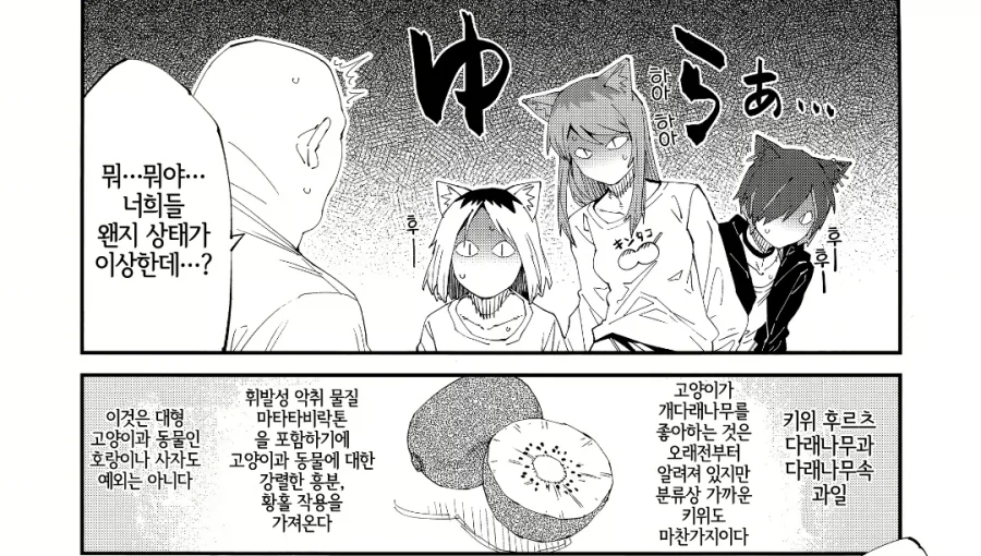 고양이한테 먹이면 안되는 과일 manga_3.webp