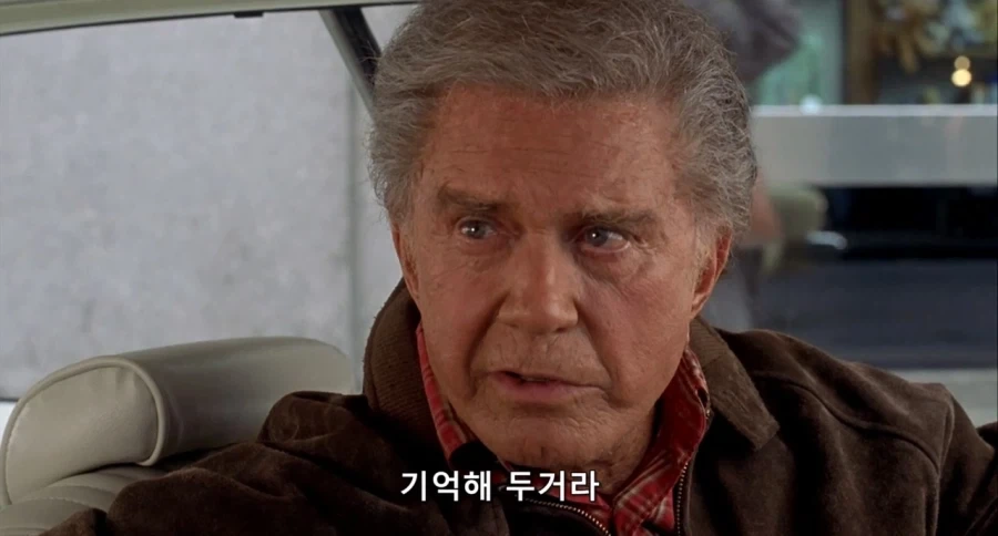 원피스 앵무새면 루피가 니카일때 모습도 이미지 3