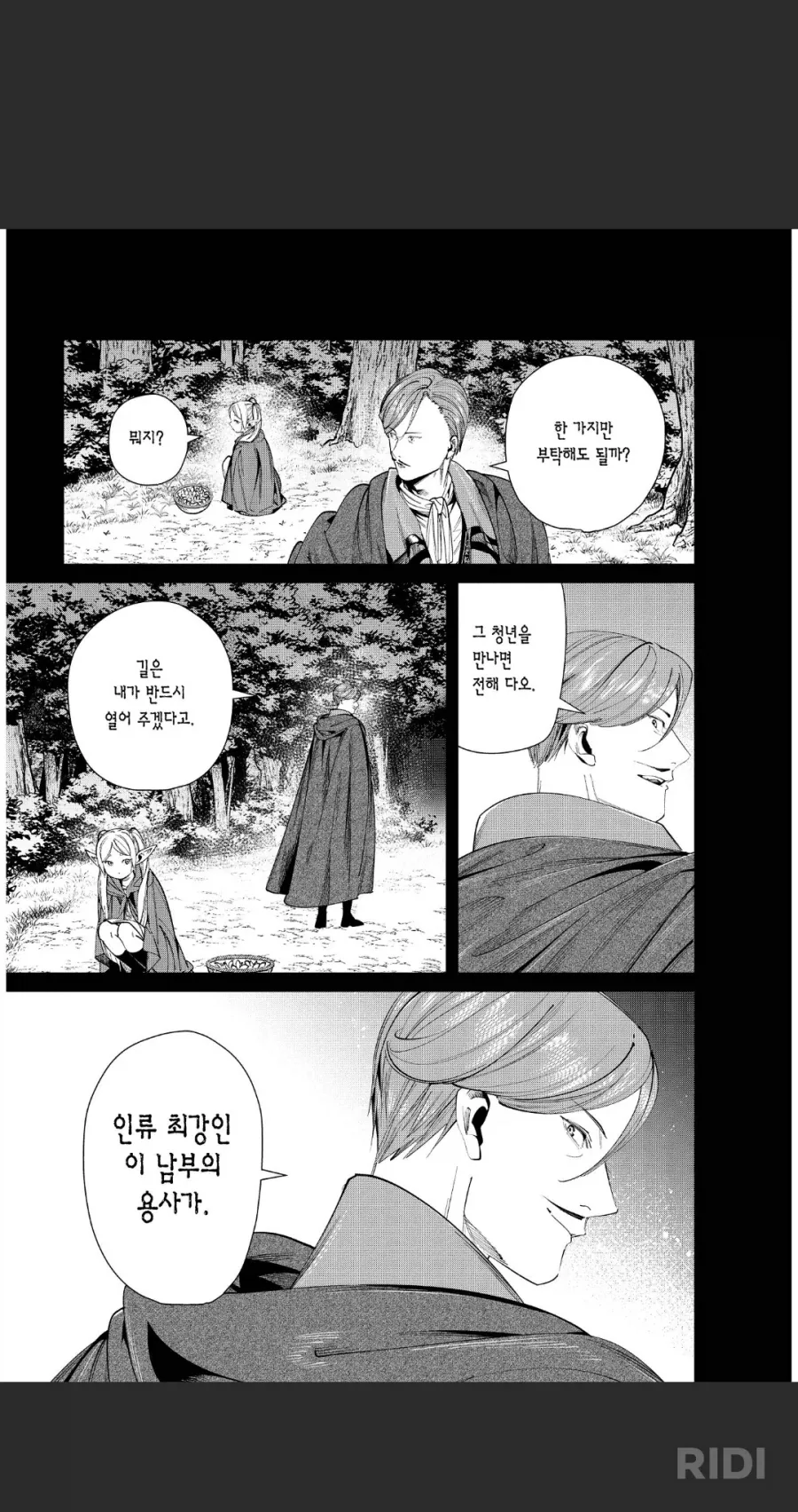 프리렌)용사로서 서사를 완벽하게 만든 마지막 한마디_2.webp