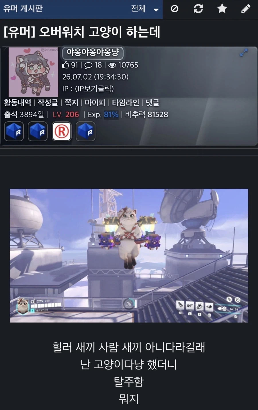 격투대회 이후 딋풀이 대표 이미지