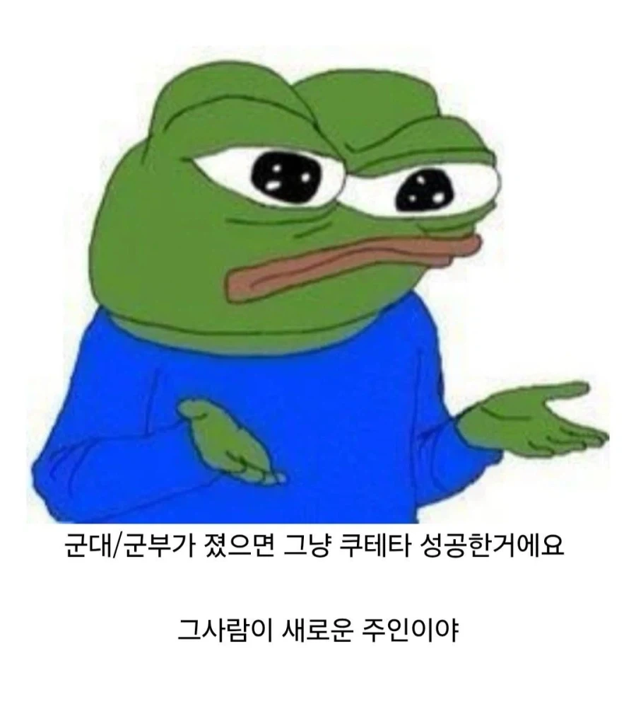 쿠데타 잘 모르는 사람들이 말하는 것 중 하나_2.webp