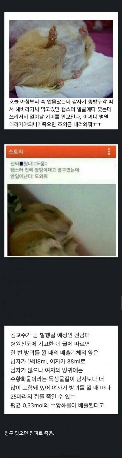 일반적인 오렌지 사진.jpg 이미지 2