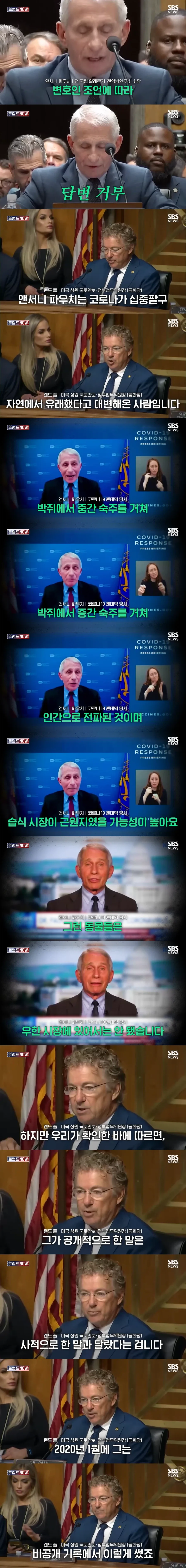미국 공화당 상원들한테 처맞는 전 전염병 연구소장_4.webp