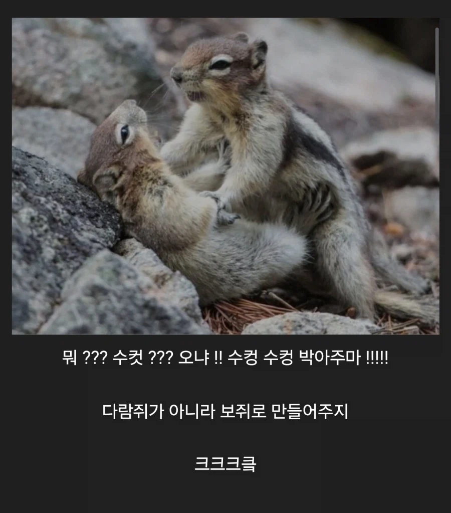 MCU) 버키가 당선된 이유 대표 이미지