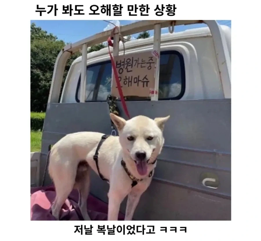 아무도 모른다는 사실 하나 이미지 4