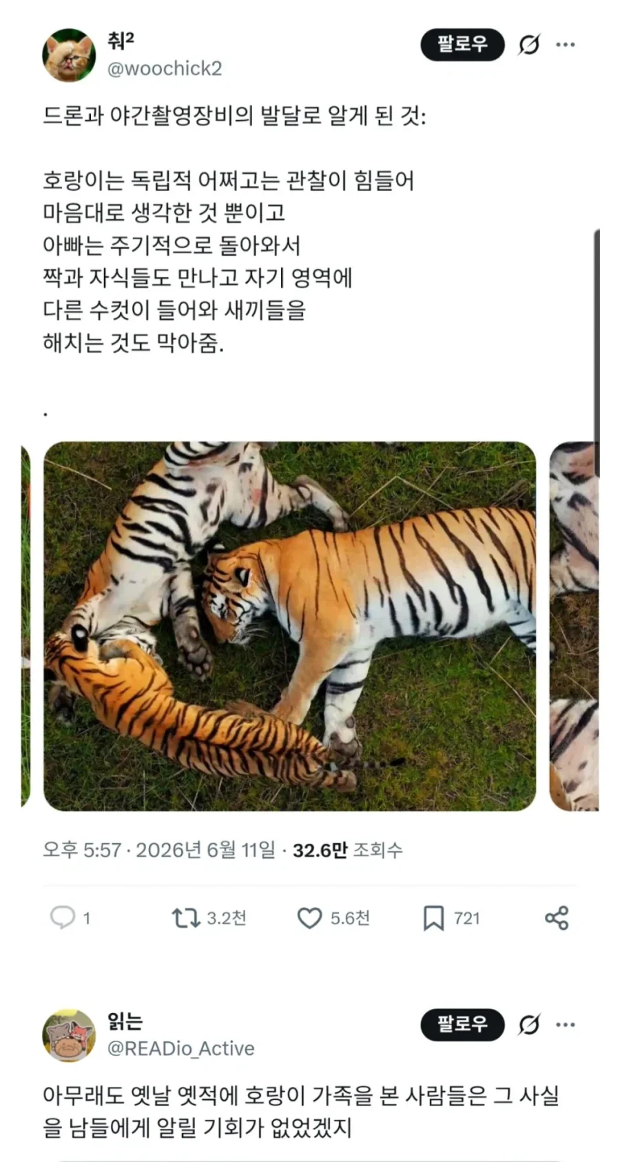 우리나라 군대에서 이순신이 힘도 못 씀 ㄷㄷ 대표 이미지