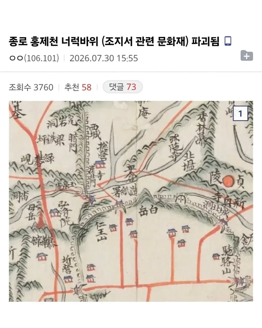 당돌한 고양이.jpg 이미지 2