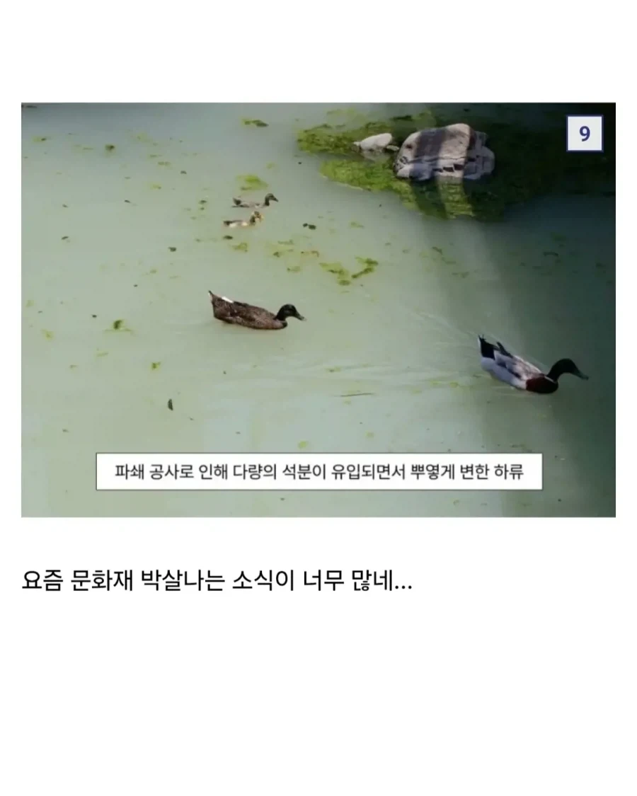 종로 홍제천 너럭바위 (조지서 관련 문화재) 파괴됨.jpg_7.webp
