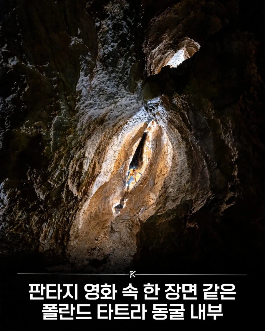 " 오빠 먹으면 10달동안 배부른 빵이 뭐게에에 ? " . Manhwa 대표 이미지
