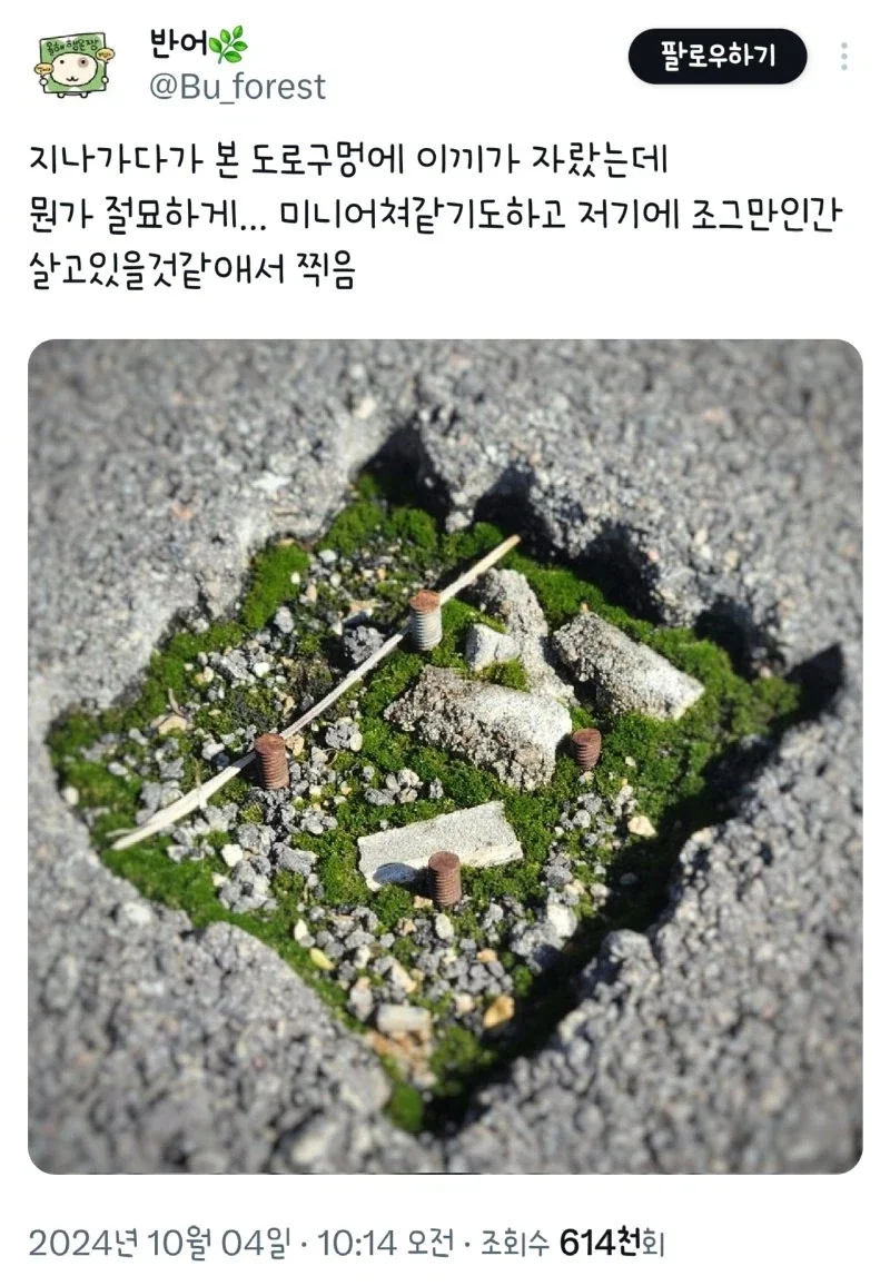12년전 실제로 있었던 전설적인 일 대표 이미지