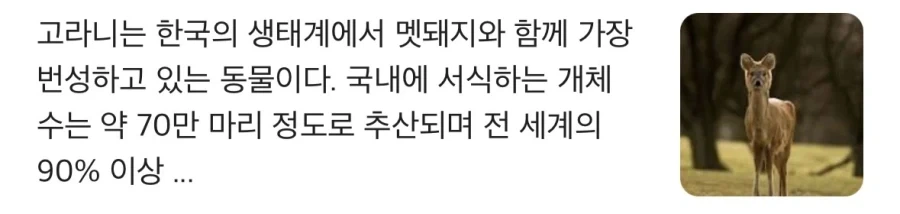 고라니가 늘어나고 있는 영국_4.webp