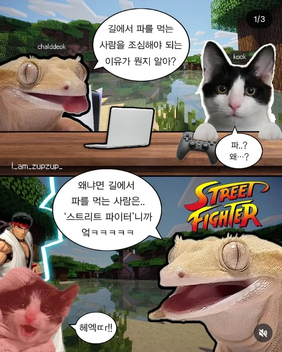 쿠데타 잘 모르는 사람들이 말하는 것 중 하나 이미지 7