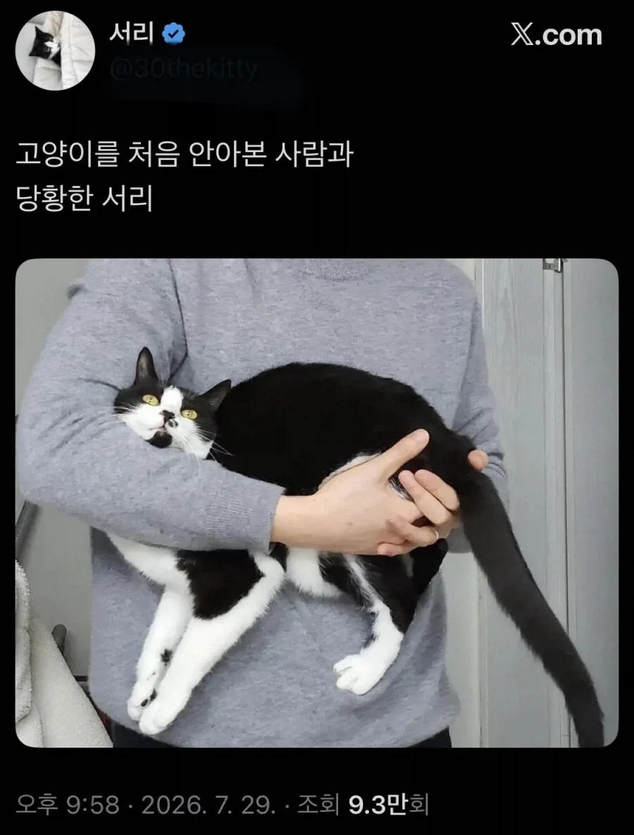의외로 웹소설에서 거름망으로 쓰이는 댓글 ㅋㅋㅋㅋ 이미지 4