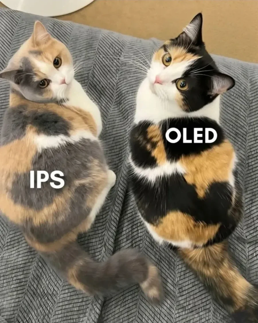 오버워치 탈주 특 대표 이미지