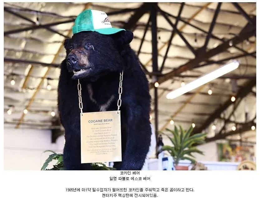 삼국지 결말 이미지 2