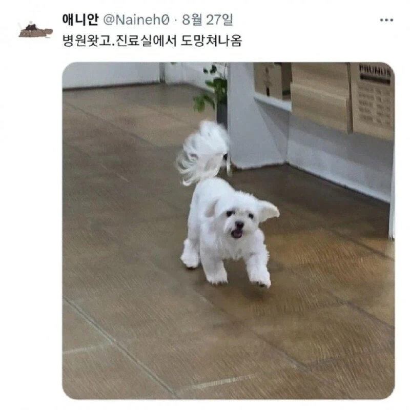 㴄 이미지 3