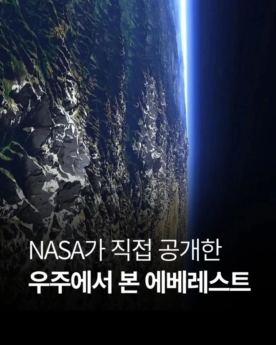 활협전) 가장 호불호 갈리는 인물.jpg 대표 이미지