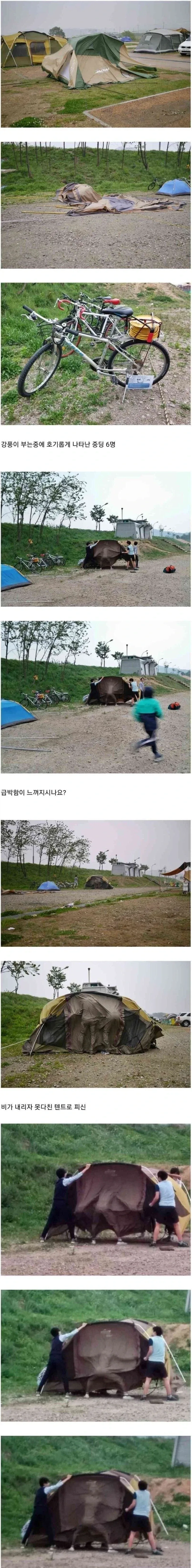 놀란 오디세이 로튼 토마토 관객팝콘지수 96점,500명이 평가 대표 이미지