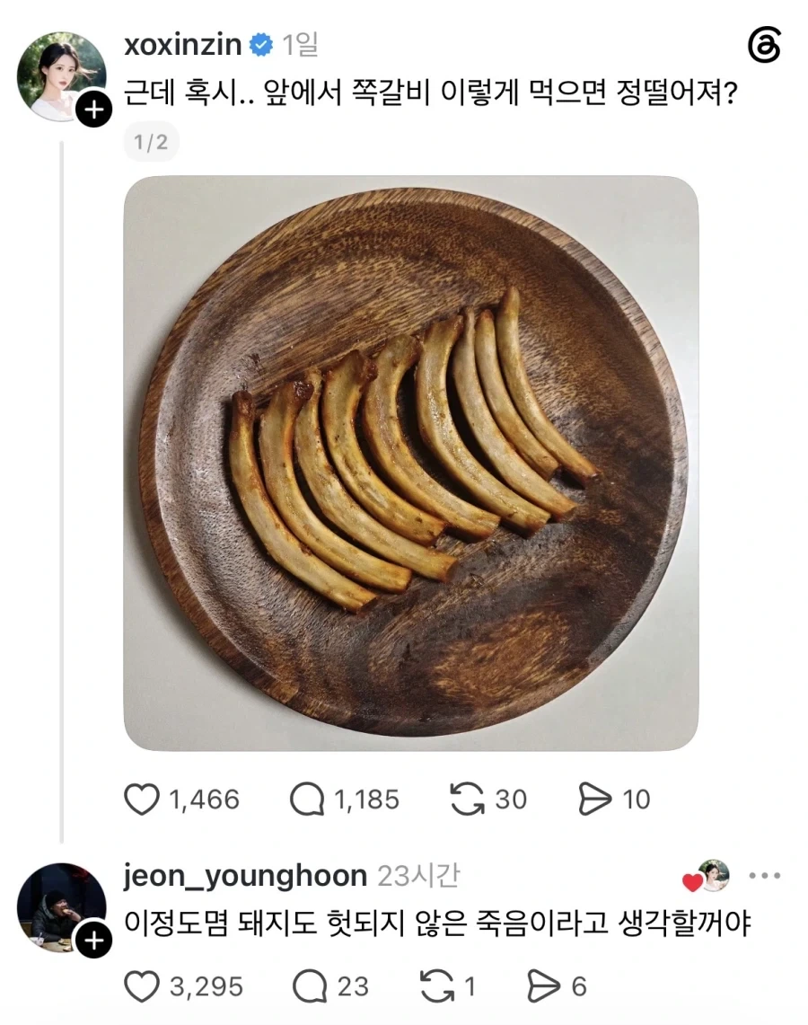 무언가를 꾸미는 듯한 매 사진.jpg 이미지 4