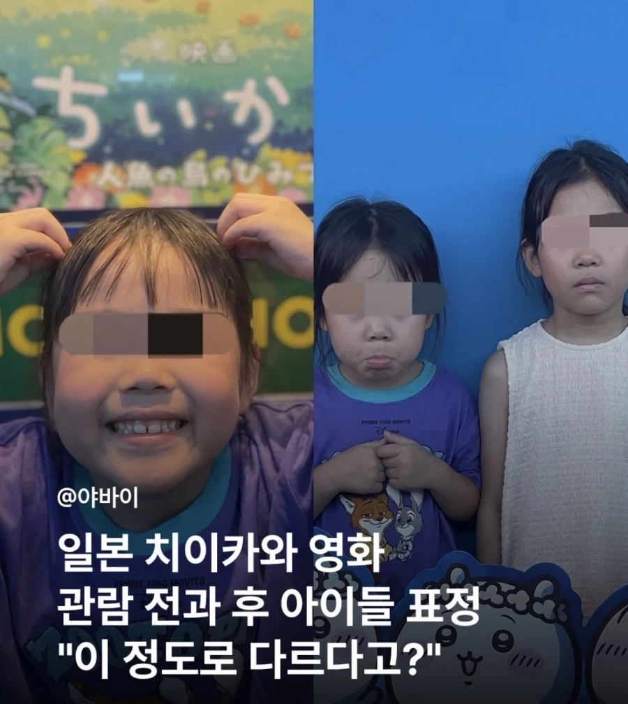 무언가를 꾸미는 듯한 매 사진.jpg 대표 이미지