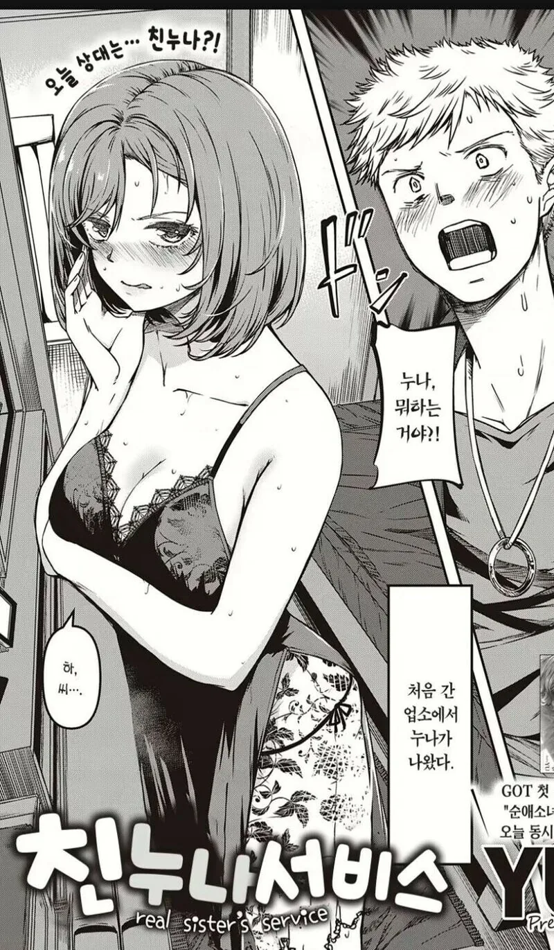 벽람) 브레머튼 이미지 3