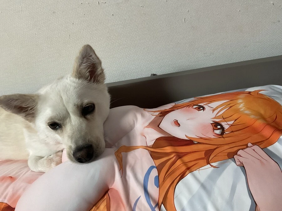 ㅇㅎ)개족보.manga 이미지 2